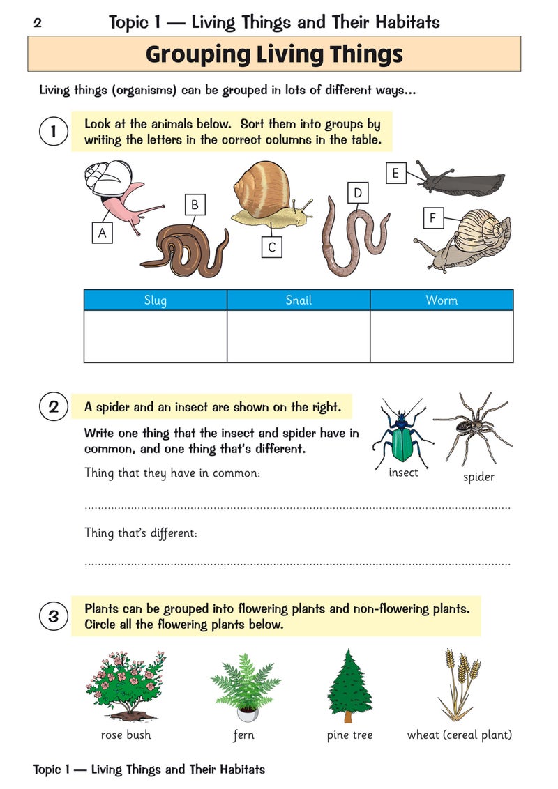 New Ks2 Science Year 4 Targeted Question Book Includes Answers - Image 2