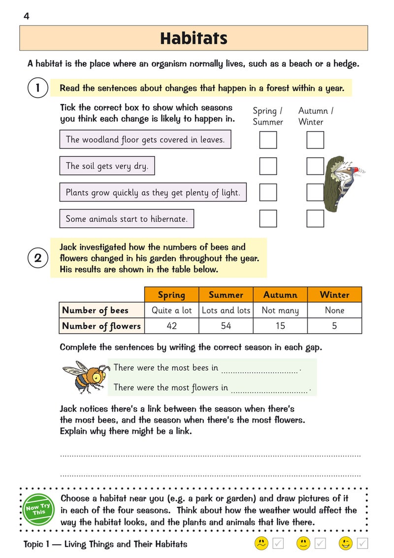 New Ks2 Science Year 4 Targeted Question Book Includes Answers - Image 4
