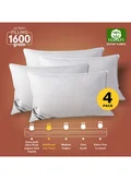 دوناتيلا PACK OF 4