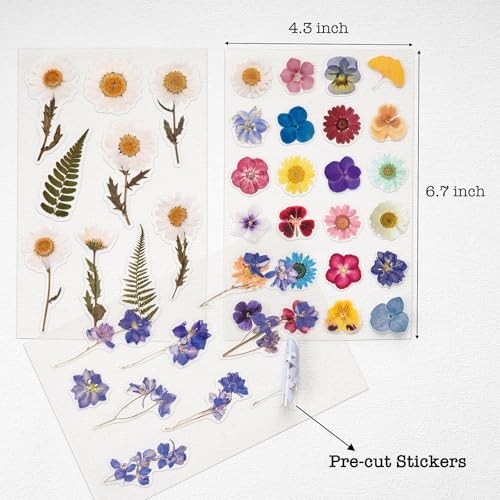 Knaid Pressed Flower Themed Stickers (Assorted 486 Pieces, 36 Sheets) Dried Floral Resin Stickers Decals Botanical Journaling Sticker for Scrapbook Supplies Junk Journal Bullet Journal Planner Laptop - Image 3
