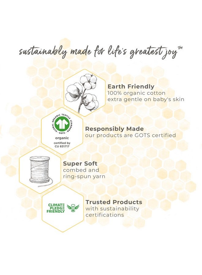 Burt's Bees Baby Infant Washcloths, 100% Organic Cotton, Soft and Super Absorbent Knit Terry & Woven Terry Wash Cloth - 3 Pack Set - Image 3