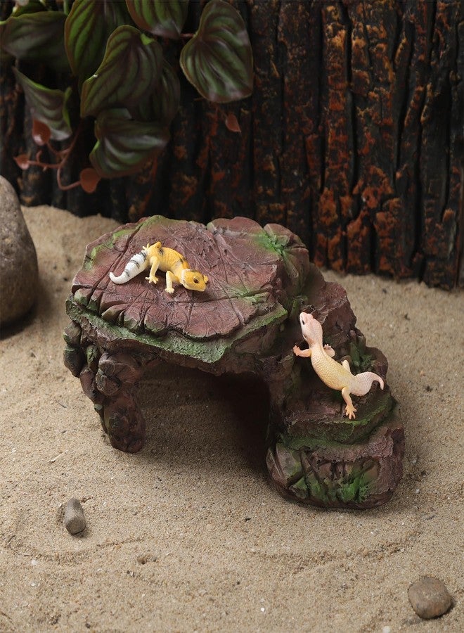 IBWell Turtle Basking Climbing Platform Aquarium Fish Tank Ornament Reptile Climbing Ramp Decorations for Salamanders Amphibians Newts, Terrace Tortoise Resting - Sienna - Image 5