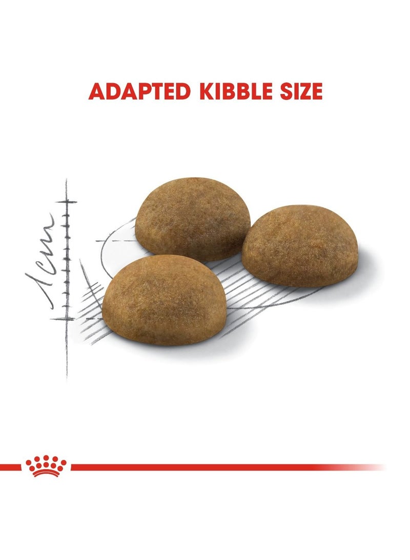 Royal Canin Feline Health Nutrition Indoor Long Hair 2 KG - Image 2