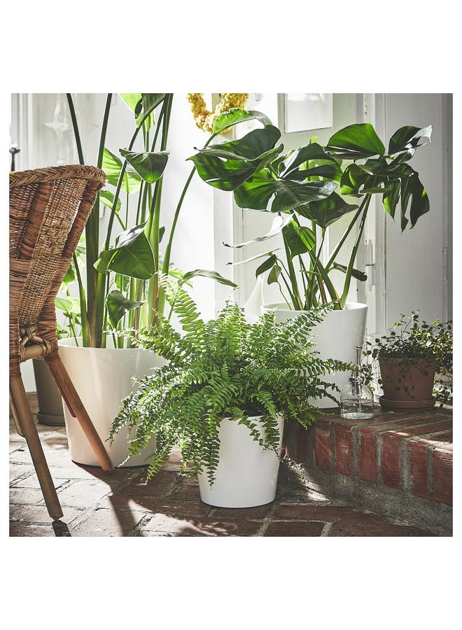 Zaboon Plant Pot, White, 24 Cm - Image 2