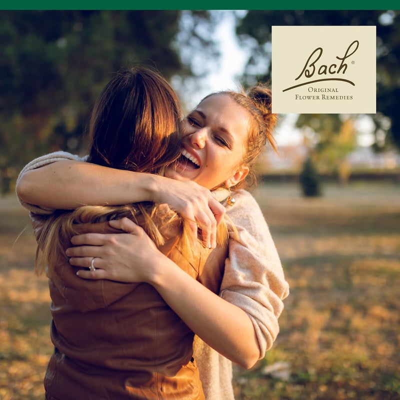 Bach Original Flower Remedies Holly Essence for Goodwill Towards Others - 20mL Homeopathic Dropper - Image 4