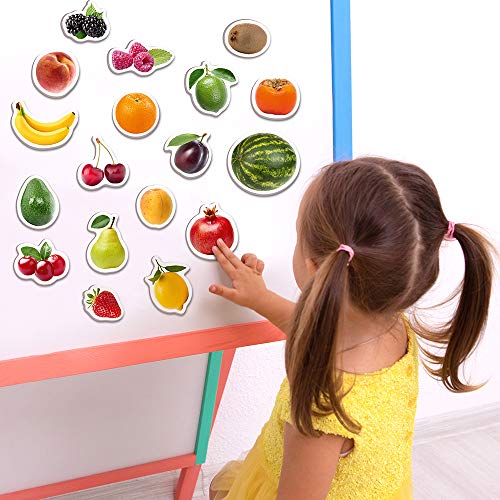 MAGDUM PHOTO FRUITs&Berries - magnets for kitchen -real LARGE fridge magnets for toddlers- Magnetic EDUcational toys baby 3 year old baby - LEARNing magnets for kids- Kid magnets - Development toys - Image 5