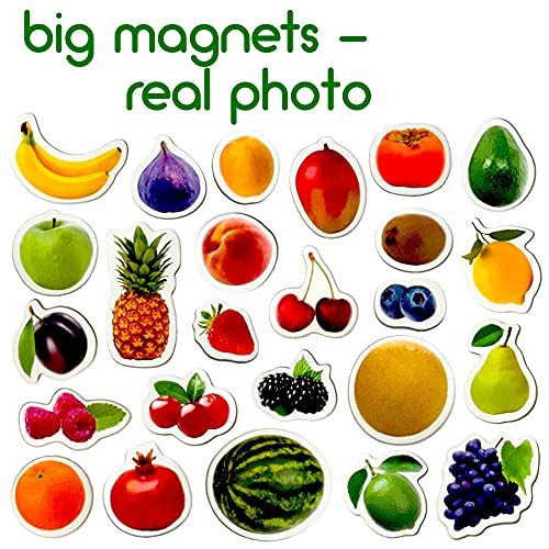 MAGDUM PHOTO FRUITs&Berries - magnets for kitchen -real LARGE fridge magnets for toddlers- Magnetic EDUcational toys baby 3 year old baby - LEARNing magnets for kids- Kid magnets - Development toys - Image 3