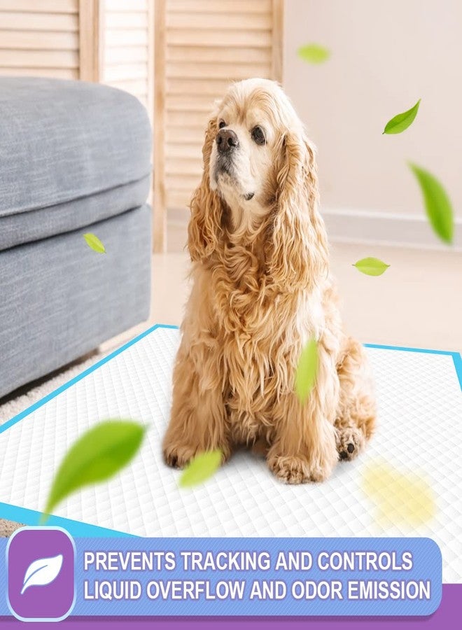 IMMCUTE Puppy Pee Pads 22"x23"-150 Count | Dog Pee Training Pads Super Absorbent & Leak-Proof | Disposable Pet Piddle and Potty Pads for Puppies | Dogs | Doggie| Cats | Rabbits - Image 5