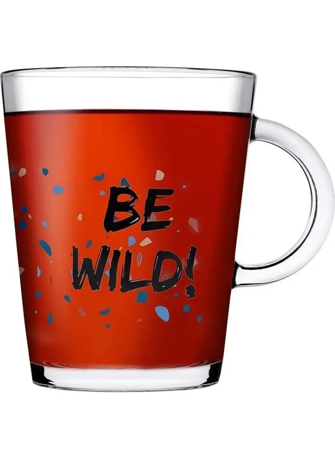 Paşabahçe 55243 Terazzo 385CC 2-Piece Be Wild Glass Mug Set