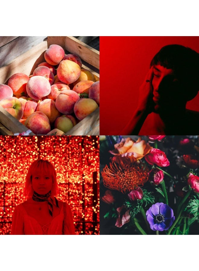 PERFUMER'S CHOICE PERFUMERS CHOICE No.4 by Phoenix Perfume – Eau de Parfum for Men & Women, Long-Lasting Luxury Fragrance, 83ml | by Milton-Lloyd** - Image 5