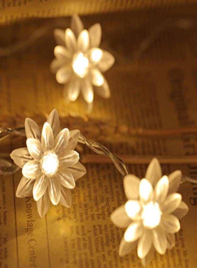 TECHNO E-TAIL 40 LED Lotus String Lights for Diwali Christmas Home Decoration Lights (6 Meters, Warm White) - Image 3