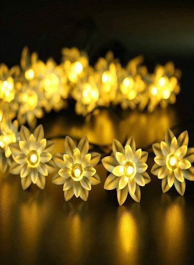 TECHNO E-TAIL 40 LED Lotus String Lights for Diwali Christmas Home Decoration Lights (6 Meters, Warm White) - Image 1
