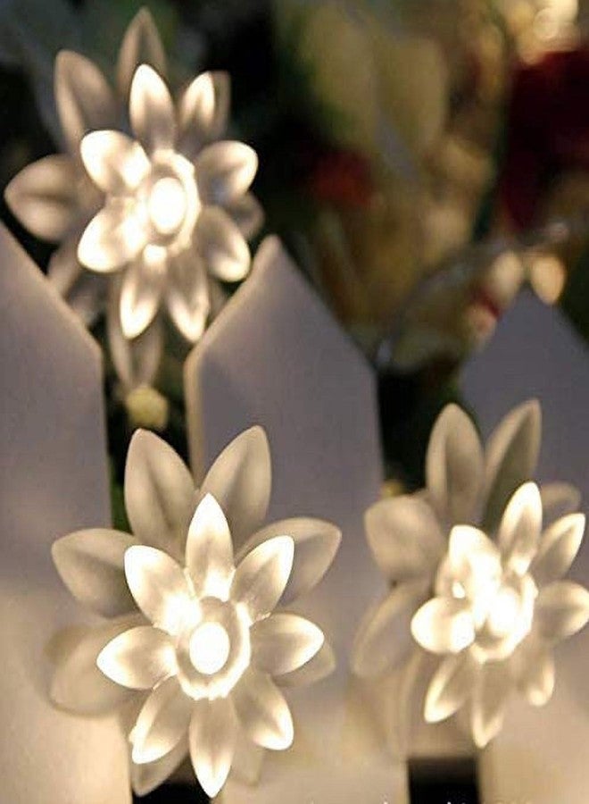 TECHNO E-TAIL 40 LED Lotus String Lights for Diwali Christmas Home Decoration Lights (6 Meters, Warm White) - Image 2