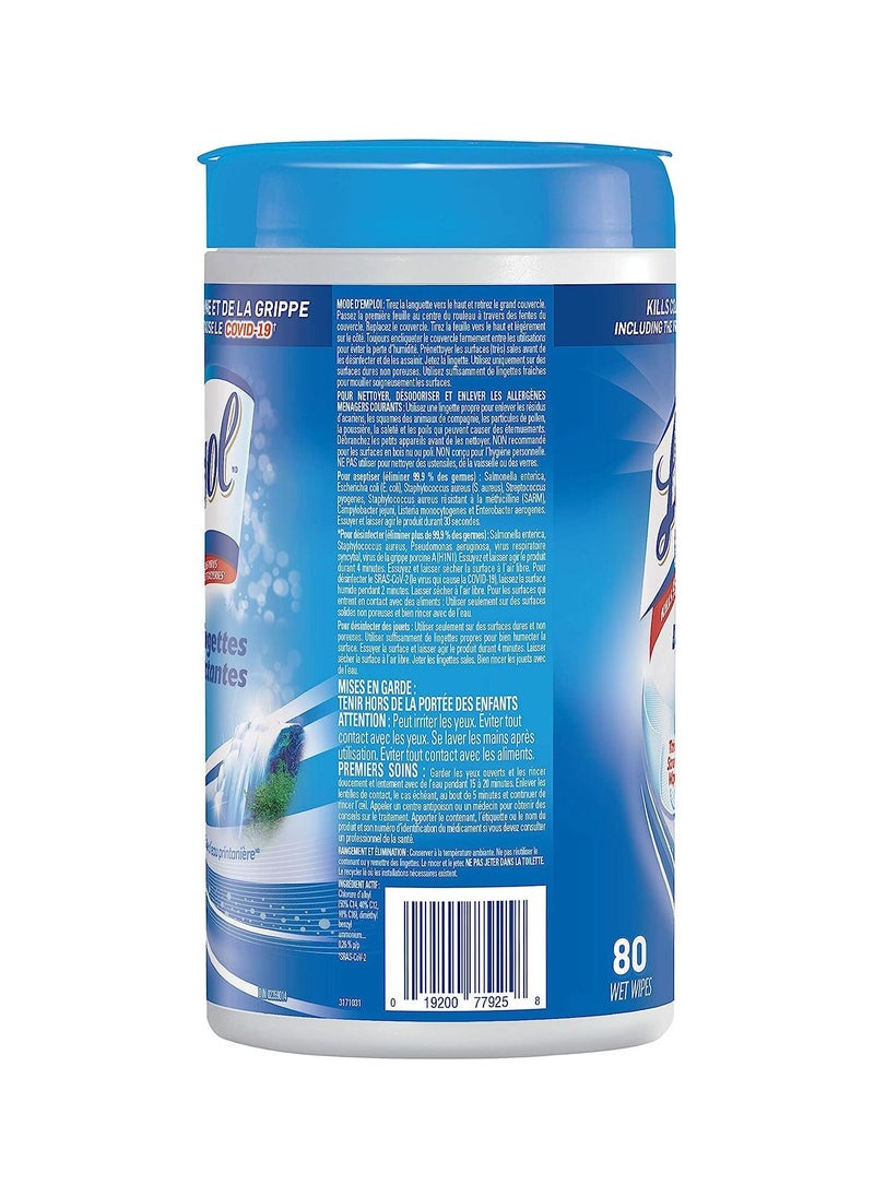 Lysol مناديل تطهير الأسطح Spring Waterfall 80 منديلًا للتنظيف والتطهير  - Image 2
