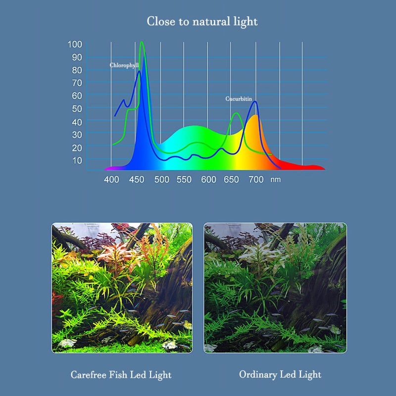Carefree Fish Aquarium LED Light USB 5V RGBW 5730 Timmer 5~10Gal Fish Tank Clip Light 10 Brightness Levels 8W with USB Port (Include Power Adapter) - Image 2