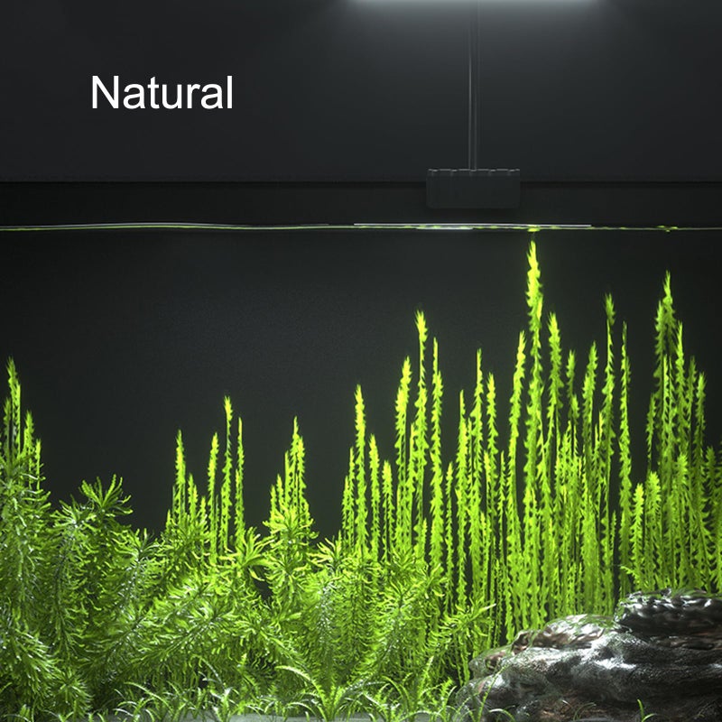 Carefree Fish Aquarium LED Light USB 5V RGBW 5730 Timmer 5~10Gal Fish Tank Clip Light 10 Brightness Levels 8W with USB Port (Include Power Adapter) - Image 5