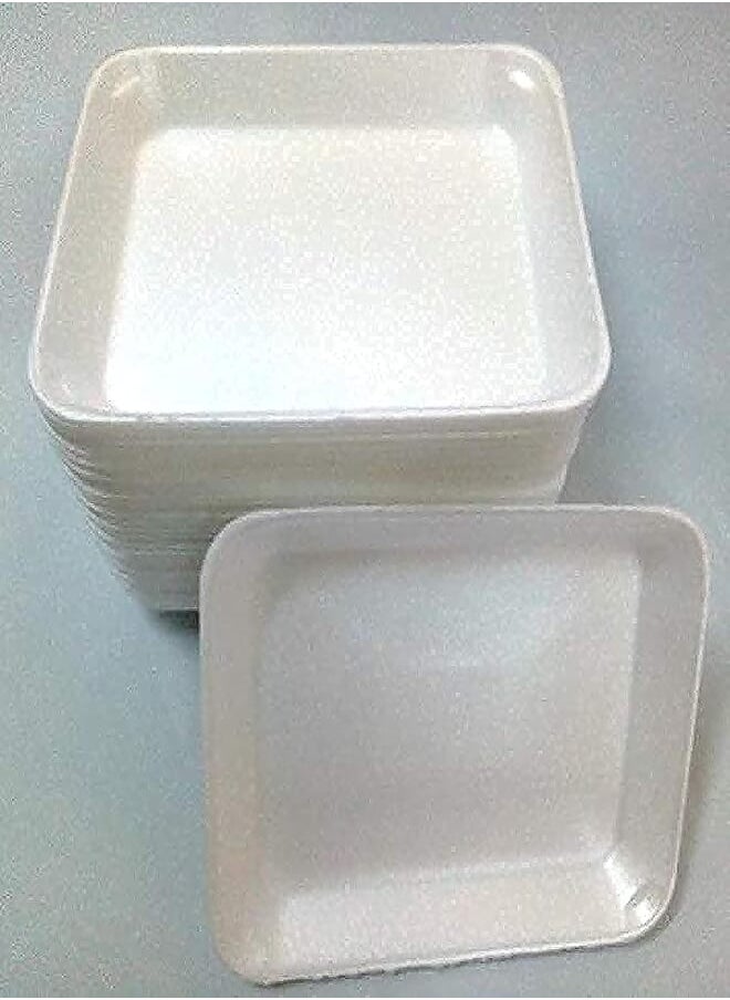 Generic Disposable foam dishes 1 kg. 100 pieces 