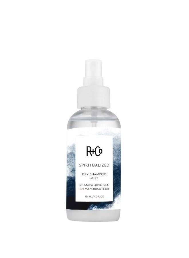 آر+كو رذاذ شامبو جاف SPIRITUALIZED من R+Co - Image 4