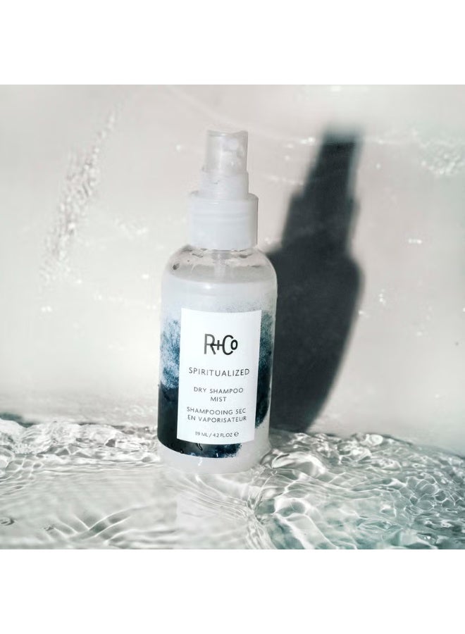 آر+كو رذاذ شامبو جاف SPIRITUALIZED من R+Co - Image 2