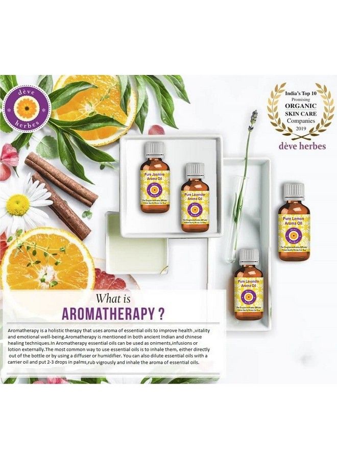 Deve Herbes Pure Armoise Essential Oil (Artemisia Herba Alba) Natural Therapeutic Grade Steam Distilled 10Ml - Image 3