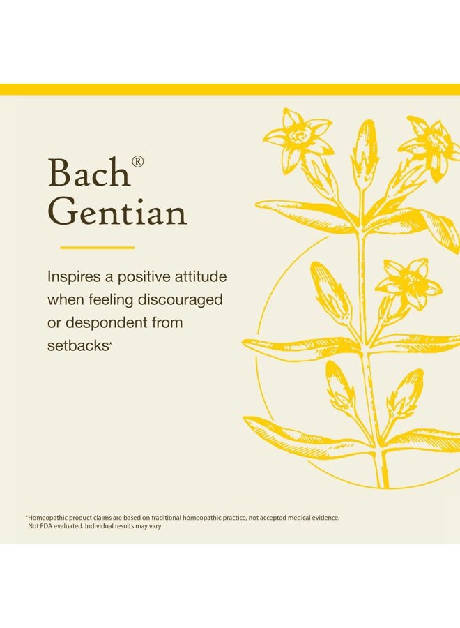 Bach Bach Original Flower Remedies, Gentian - Accept Setbacks - Natural Homeopathic Flower Essence for Emotional Balance - Vegan, Gluten Free, Sugar Free - 20mL Dropper  - Image 3
