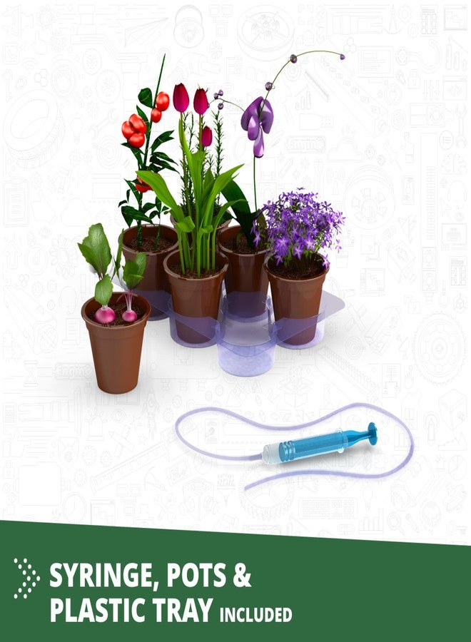 Engino- STEM Toys, Building Set for Kids 9+, Botanic Laboratory- Fully Functional Greenhouse, STEM Kit, Gift for Boys & Girls, Engineering Kit, Learning & Education Toys - Image 3