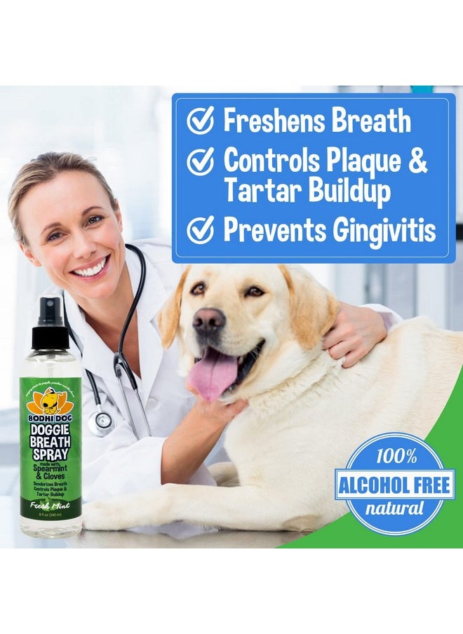 Bodhi Dog - Large Natural Dog Breath Freshener For Dogs Teeth And Healthy Gums | Best For Tartar Cleaning, Plaque Remover & Fresh Dental Oral Care - Image 1