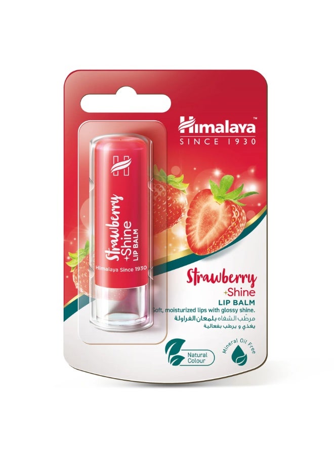 Lip Balm Strawberry Shine Red 4.5grams