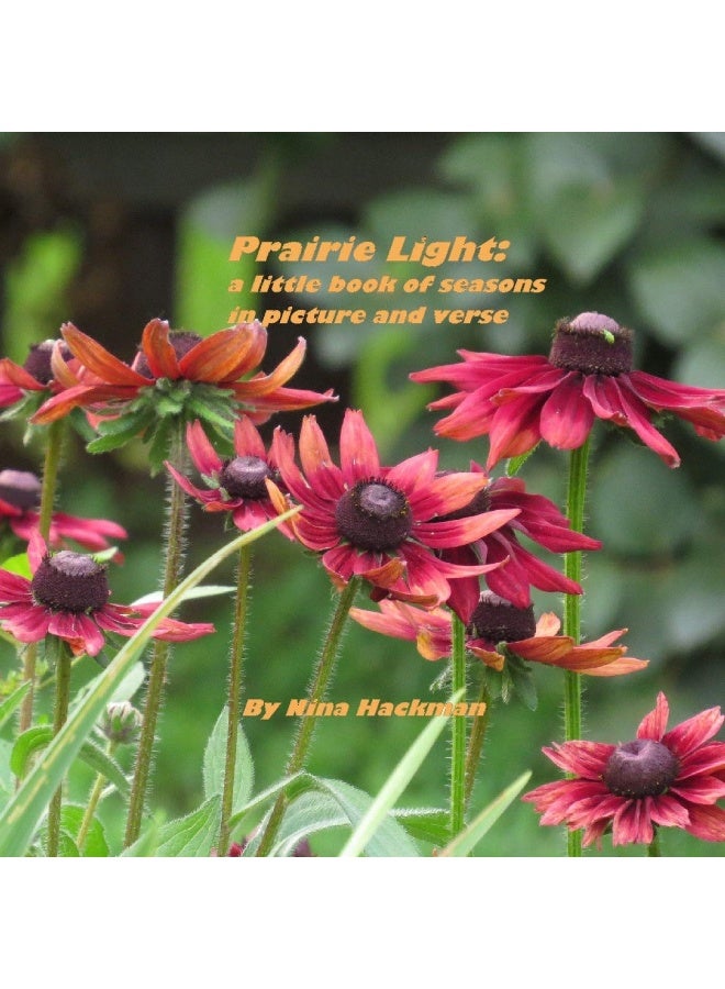 Prairie Light: a little book of seasons in picture and verse - Image 1