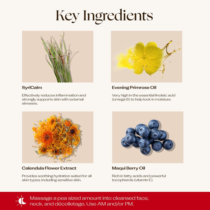 تريلوجي كريم مرطب لطيف - Image 4