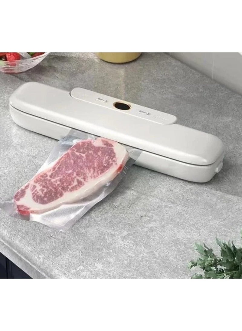 Denx 120W Vacuum Bag Sealer with 60kPa Vacuum and Automatic Shut-Off for Food Preservation and Heat Sealing of Bags, Model DX1782 - Image 2