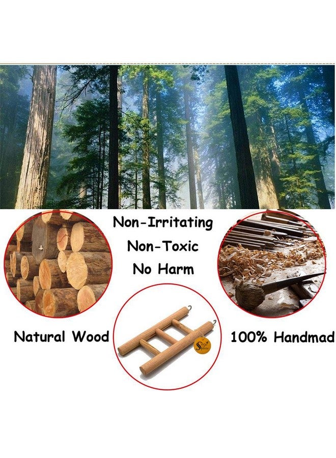 سايج سكوير لعبة سلم تسلق خشبي طبيعي مرحة للتمرين والمتعة || مع خطافات || للهامستر، السنجاب الطائر، القزم، الجرذان، الفئران، الجربوع || 4 درجات / 22 سم - Image 4