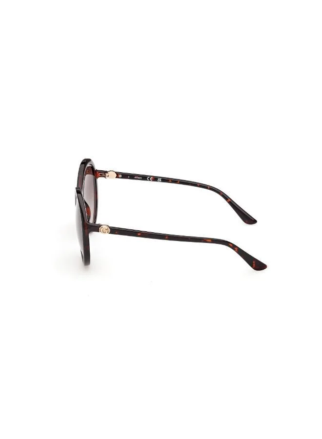 GUESS  GU0028152F55 round sunglasses for Women | Best Price UAE