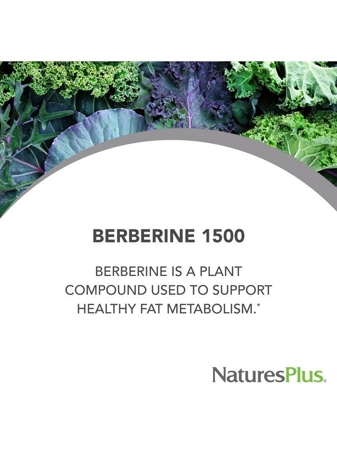 NaturesPlus ناتشرز بلس برو بيربرين 1500 ملغ - 60 قرص - يدعم الأيض الصحي - غير معدّل وراثيًا، نباتي وخالي من الغلوتين - 30 حصة - Image 4