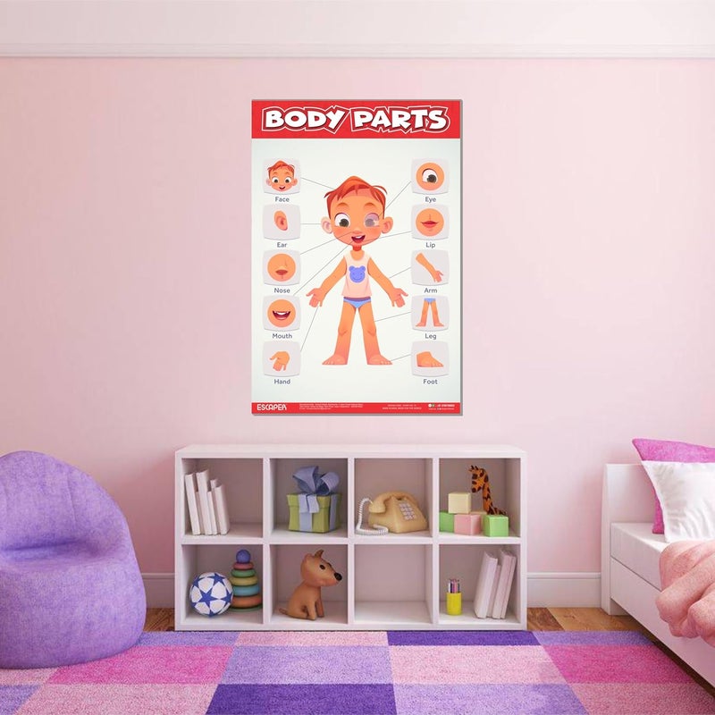 ESCAPER رسوم تعليمية لأجزاء الجسم للأطفال، رسوم تعليمية لتعلم الأطفال (11.5 × 17.5 بوصة)، مواد دراسية للأطفال، كتب تعليمية للأطفال، ملصقات تعليمية - Image 5