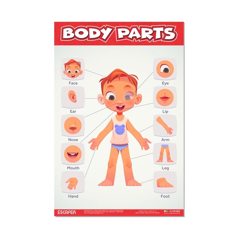 ESCAPER رسوم تعليمية لأجزاء الجسم للأطفال، رسوم تعليمية لتعلم الأطفال (11.5 × 17.5 بوصة)، مواد دراسية للأطفال، كتب تعليمية للأطفال، ملصقات تعليمية - Image 1