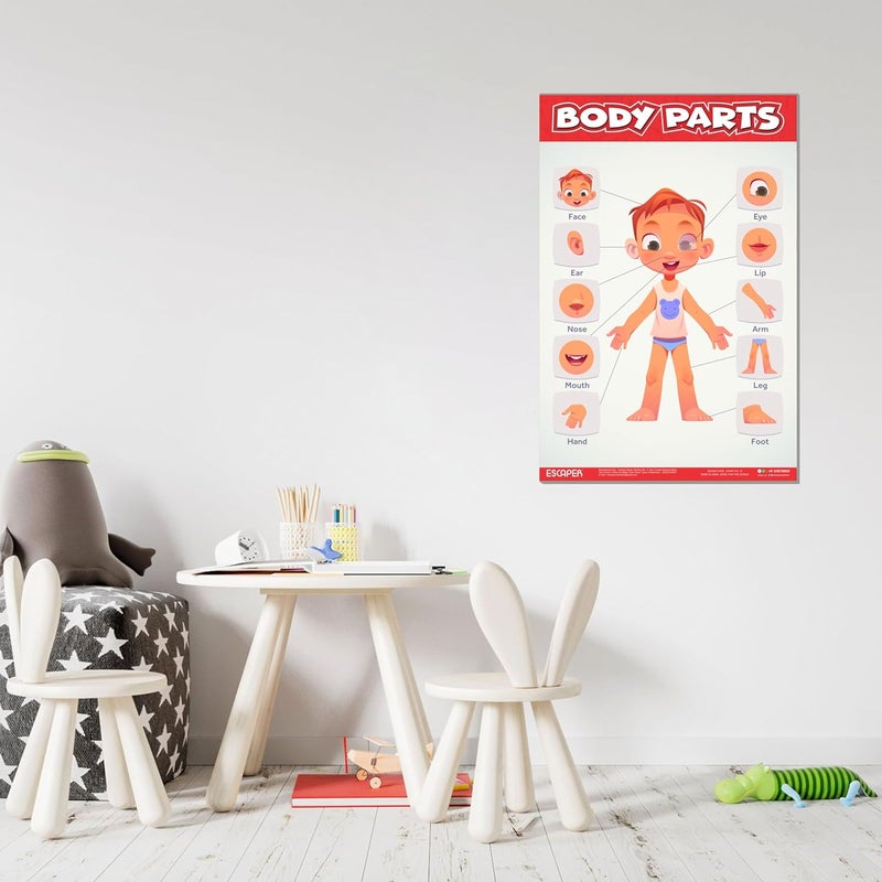 ESCAPER رسوم تعليمية لأجزاء الجسم للأطفال، رسوم تعليمية لتعلم الأطفال (11.5 × 17.5 بوصة)، مواد دراسية للأطفال، كتب تعليمية للأطفال، ملصقات تعليمية - Image 4