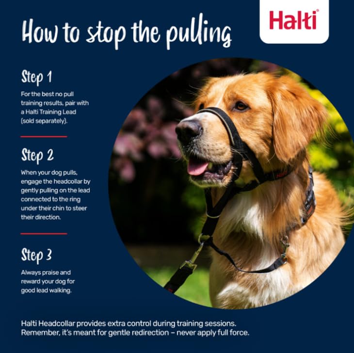 HALTI Headcollar - to Stop Your Dog Pulling on The Leash. Adjustable, Reflective and Lightweight, with Padded Nose Band. Dog Training Anti-Pull Collar for Small Dogs (Size 1, Cobalt Blue) - Image 4