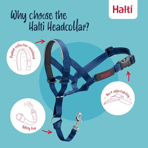HALTI Headcollar - to Stop Your Dog Pulling on The Leash. Adjustable, Reflective and Lightweight, with Padded Nose Band. Dog Training Anti-Pull Collar for Small Dogs (Size 1, Cobalt Blue) - Image 3