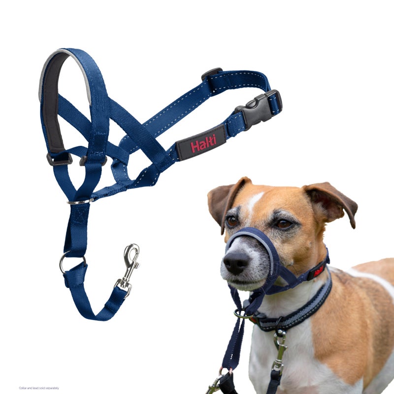 HALTI Headcollar - to Stop Your Dog Pulling on The Leash. Adjustable, Reflective and Lightweight, with Padded Nose Band. Dog Training Anti-Pull Collar for Small Dogs (Size 1, Cobalt Blue) - Image 5