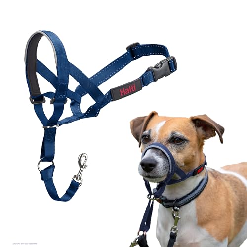 HALTI Headcollar - to Stop Your Dog Pulling on The Leash. Adjustable, Reflective and Lightweight, with Padded Nose Band. Dog Training Anti-Pull Collar for Small Dogs (Size 1, Cobalt Blue) - Image 1