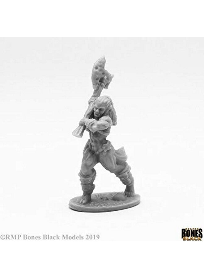 Reaper Bones Black: Jade Fire Champion