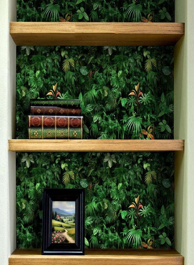 ReWallpaper ورق حائط استوائي من ReWallpaper، ورق حائط نباتي أخضر قابل للإزالة، ورق حائط لاصق بأوراق الشجر، مناسب للخزائن والحمامات وغرف النوم والحدائق السرية وديكور الغابات المطيرة، مقاس 17.5 بوصة × 10 أقدام - Image 5