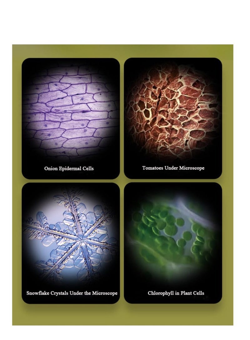 Generic Miniscope Kids, Pocket Microscope for Kids, Handheld Microscope, Portable Microscope, Led Lighted Pocket Microscope, for Children’s Learning, Scientific Experiment and Exploring The World (White) - Image 4