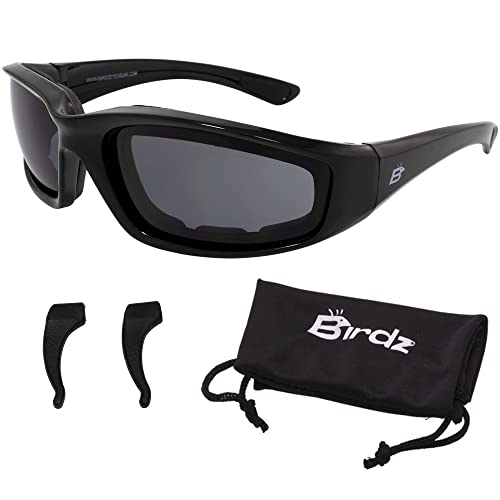 Birdz Eyewear Oriole Motorcycle Padded Glasses Smoke Anti Fog Lens Free Rubber Ear Locks - Image 1