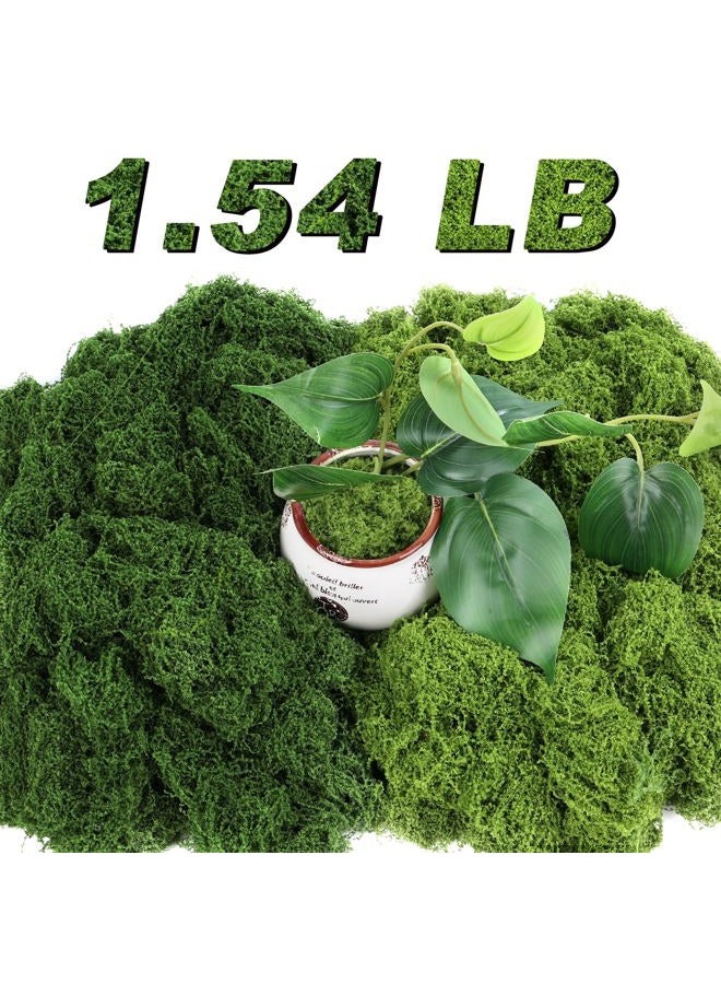 Jollidecor 1.54 LB Fake Moss for Crafts, Artificial Decorative Light Green and Dark Green Faux Moss DIY Fairy Garden Decor for Indoor Decor - Image 1