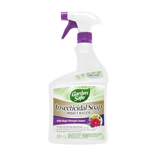 Garden Safe صابون حشري جاهز للاستخدام 32 أونصة من جاردن سيف، 1 عدد (عبوة من 1) - Image 1