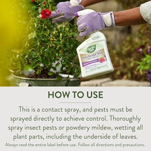 Garden Safe صابون حشري جاهز للاستخدام 32 أونصة من جاردن سيف، 1 عدد (عبوة من 1) - Image 5