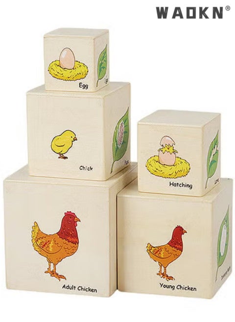 Wooden Stacking Boxes-Nesting and Sorting Cups Blocks for Toddlers-Stacking Cubes Educational Learning for 2 Years Old Montessori Materials,Growth Process Toy Shape Learning Children's Classification Box Stacking Toy  Growth Process Box Toy