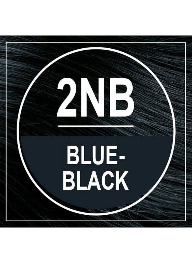 NATURTINT Permanent Hair Color 2Nb Blue Black (Pack Of 1) Ammonia Free Vegan Cruelty Free Up To 100% Gray Coverage Long Lasting Results  - Image 4